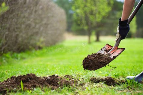 Una Jardinera Con Una Pala En Las Manos Cavando Un Agujero En Una Nueva