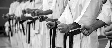 Martial Arts Training for Beginners - cnyjiujitsu.com