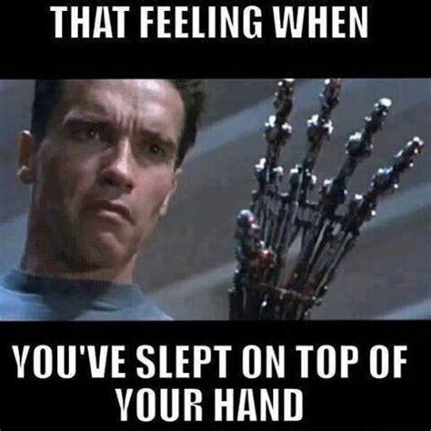 Terminator | Funny pictures, Funny images, Funny