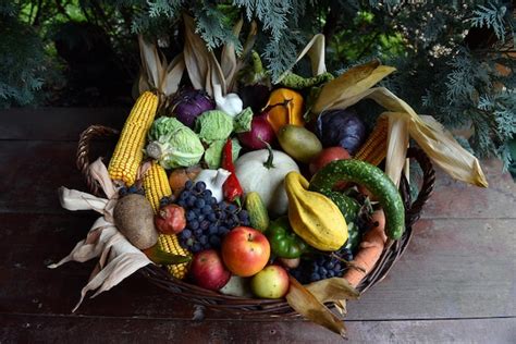 Premium Photo | Basket of organic food vegetables