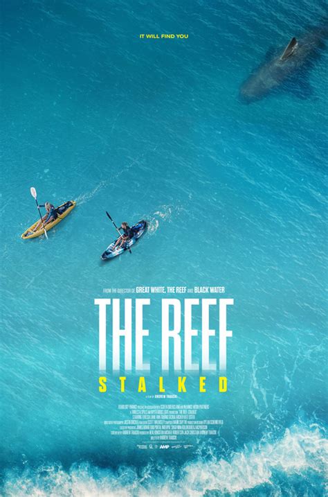 The Reef: Stalked Movie Poster (#3 of 3) - IMP Awards