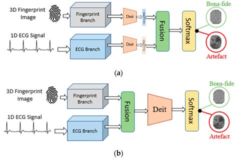 J Imaging Free Full Text Multimodal Approach For Enhancing