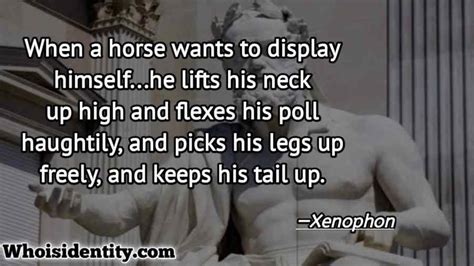 Xenophon Quotes (50) on Leadership, Horsemanship, Socrates, and Sparta