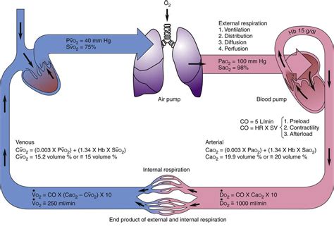 Alterations In Oxygen Transport Basicmedical Key