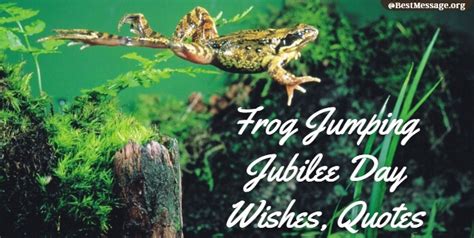 Frogs Jumping Sayings