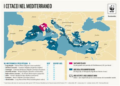 Dal Settembre Congresso Internazionale Delle Aree Marine Protette