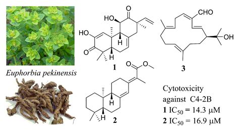 Euphopanes Ac Three New Diterpenoids From Euphorbia Pekinensis