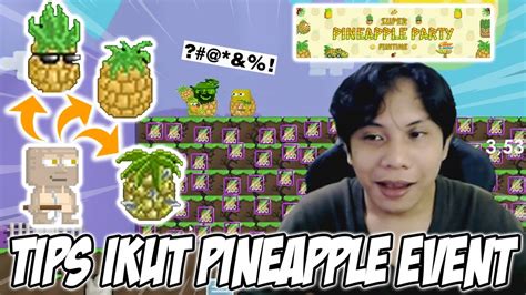 Tips Komplit Ikut Event Super Pineapple Party Prepare Gacha Metode