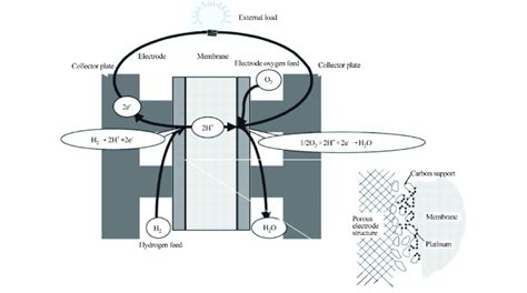 The Working Principle Of A Pemfc Device 236 Download Scientific