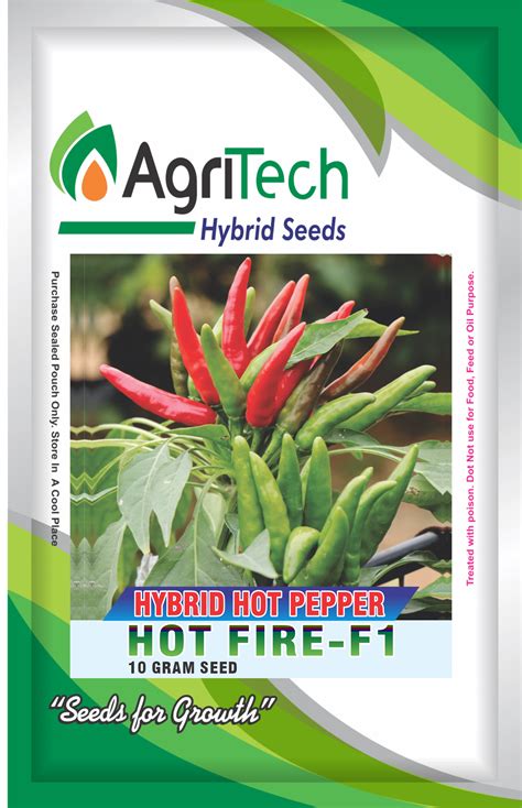 Hot Fire F1 Hybrid Hot Pepper Agritech Green Gold Agri Seedspvtltd