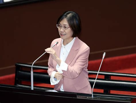 陈建仁数度反质询 蓝委被激怒提高音量「质询是上对下」 韩国瑜神救援 政治 中时新闻网