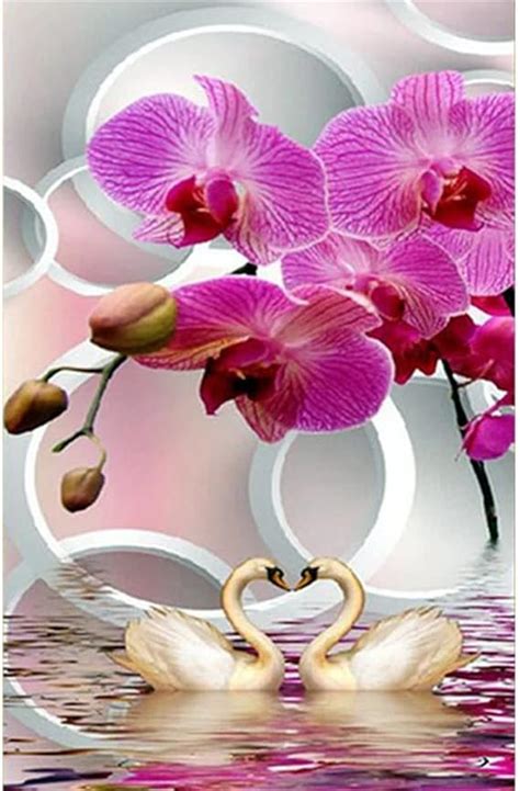 Diy Broderie Diamant Round Drill Fleur D Orchid E Cygne X Cm Kit De