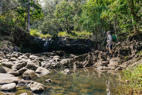 Maui: Rainforest Waterfalls Guided Hike With Picnic Lunch