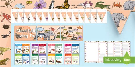 Classifying Living Things Display Pack Science Twinkl