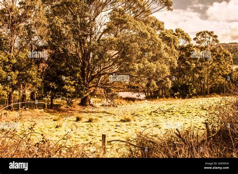 Majestic rural Australian landscape with autumn trees in countryside farmland. Woodstock ...