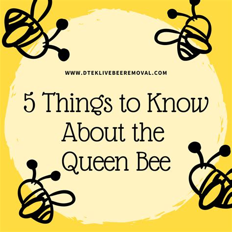 That viral queen gif has a hilarious origin story revealed 6