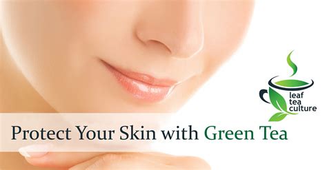 Protect Your Skin With Green Tea Tea Culture Green Tea Tea