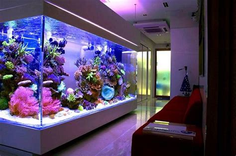 Como Fazer Um Aquário Em Casa Aquarium Design Reef Aquarium Aquarium