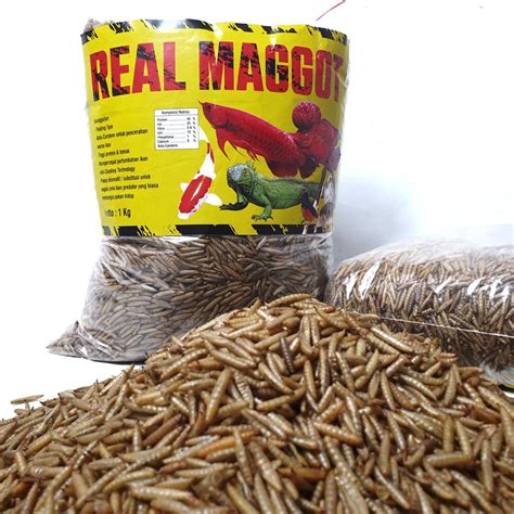 Jual Maggot Kering Bsf Organic Food Grade A Super Magot Kg Shopee