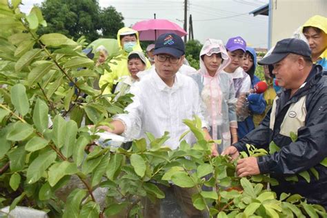 美豬美牛開放 陳其邁：嚴格把關 政治快訊 要聞 Nownews今日新聞