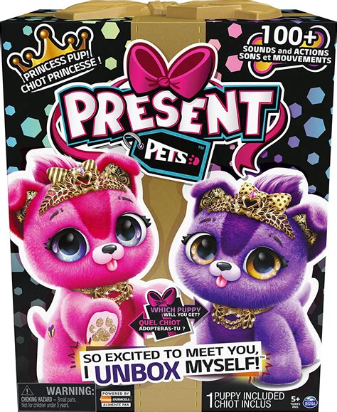 New Present Pets Puppies: Rainbow Fairy and Sparkle Princess ...