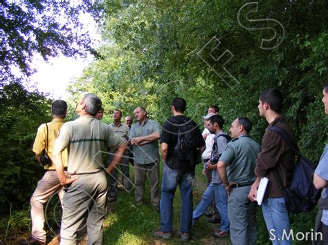 Des Am Nagements Pratiques Qui Fa Onnent Les Bocages P Le Bocage Et