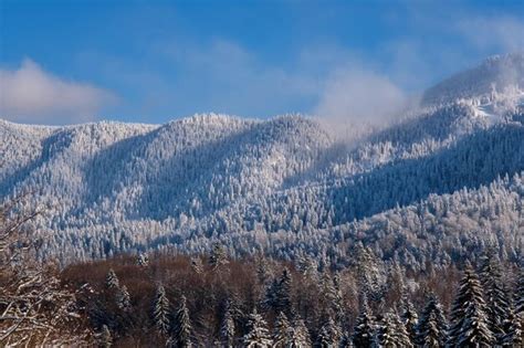 Pi Kny Alpejski Panoramiczny Zimowy Widok O Nie Onych G R Wierk W W