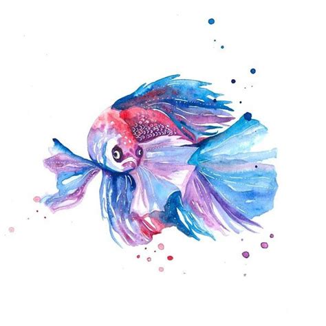 Betta Fish | Art Print | Warrior Fish Wall Art - The Quiet Place Art