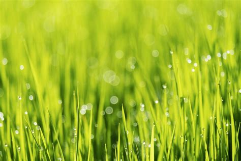 abstract nature background stock  images  backgrounds