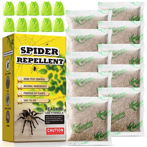 diy spider deterrent 1