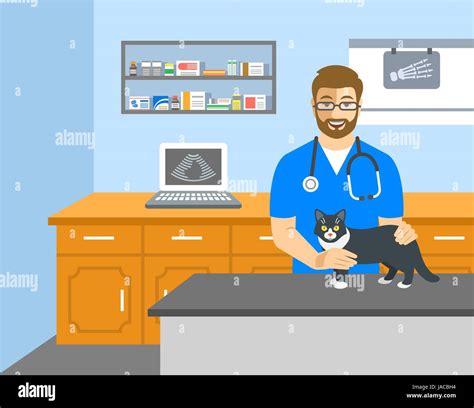 Veterinarian doctor holds cat on examination table in vet clinic ...