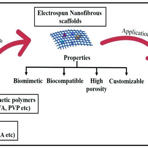 Electrospun Nanofibrous Scaffolds For Biomedical Applications