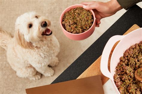 What Are Good Home Cooked Meals For Dogs