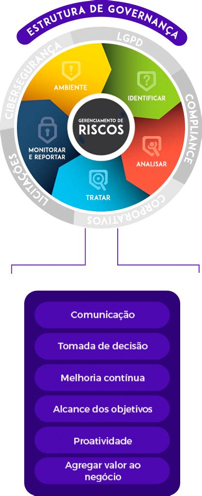 Iris Software De Gerenciamento De Riscos Jml Grupo