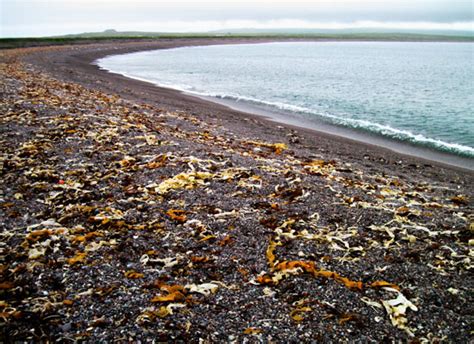 Les Plus Beaux Paysages De Saint Pierre Et Miquelon Rivages Du Monde