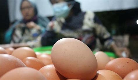 Harga Telur Makin Meroket Mentan Sebut Pasokan Banyak Bisa Mahal