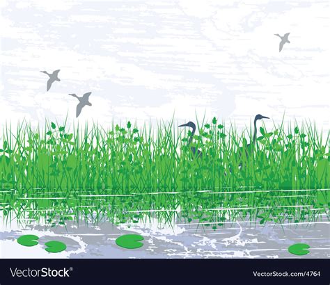 Marshland Royalty Free Vector Image VectorStock