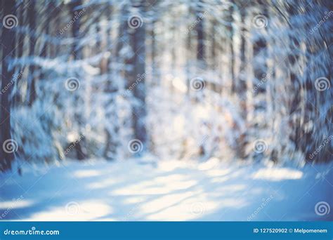 Blurred Abstract Winter Forest Background Stock Photo Image Of Bright