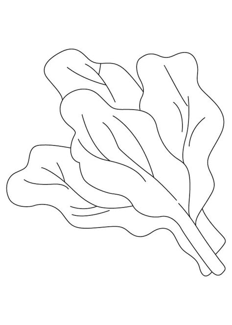 Spinach Coloring Page At Free Printable Colorings