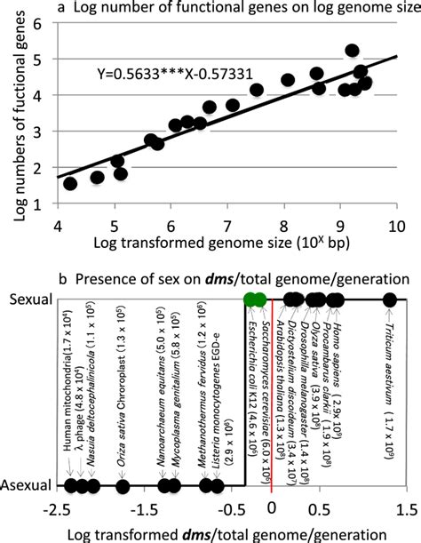 The Origination Events Of Gametic Sexual Reproduction And Anisogamy