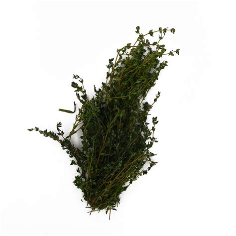 Thyme | Ted's Veg