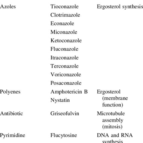 Common Antifungal Drugs In The Market And Their Cellular Targets Download Table