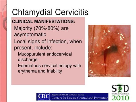 PPT - Cervical Lesions PowerPoint Presentation, free download - ID:5911047