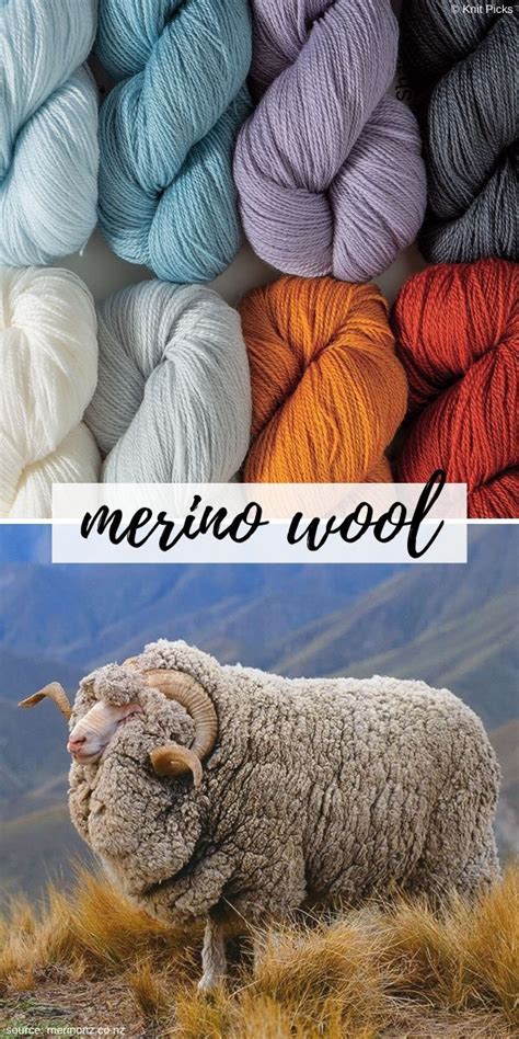 Merino Wool - Types of Yarn