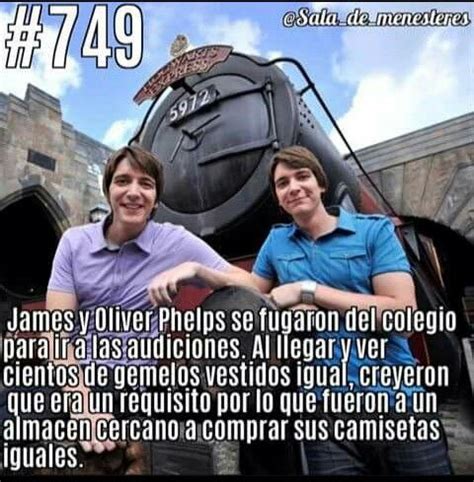 Pin De The Really En Harry Potter Libros De Harry Potter Actores De