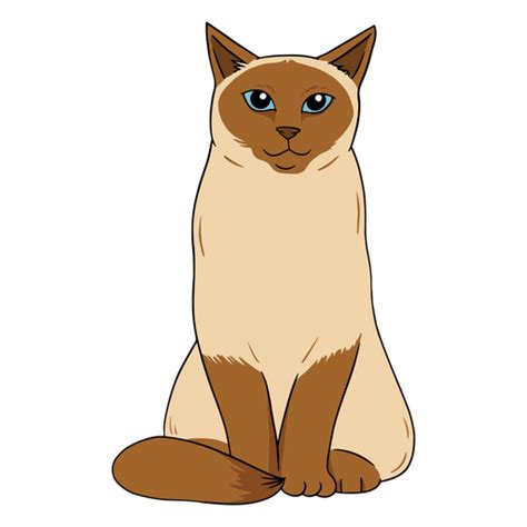 Design PNG E SVG De Um Lindo Gato Siamês Para Camisetas