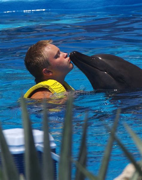 Kissing A Dolphin Stock Image Image Of Riviera Mayan 43786737