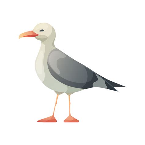 Seagull bird. Resting curious standing sea bird. Vector illustration
