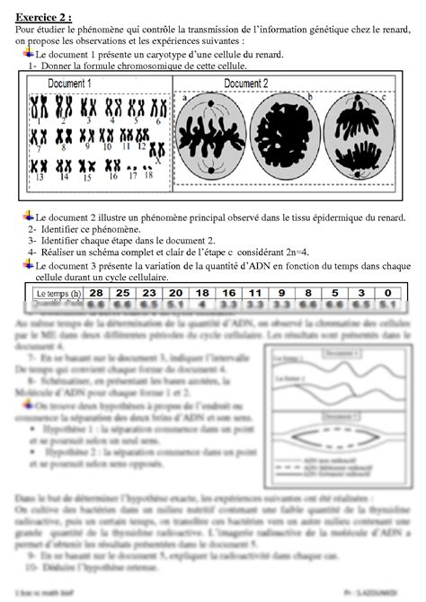 SOLUTION Exercices De La Nature De L Information G N Tique Studypool