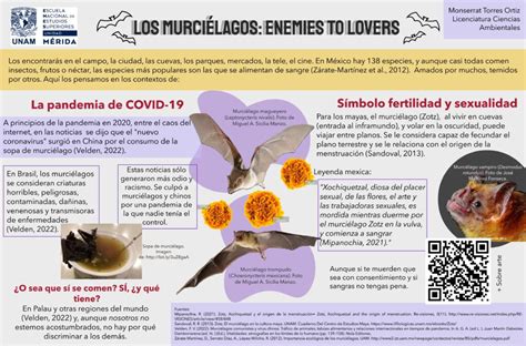 Murciélagos Enemies To Lovers Divulgacion Científica Enes Mérida